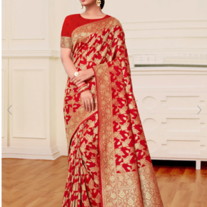 Anarkali Saree