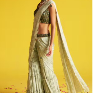 Pant Saree